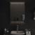 Oglinda de baie cu LED, 50x70 cm GartenMobel Dekor