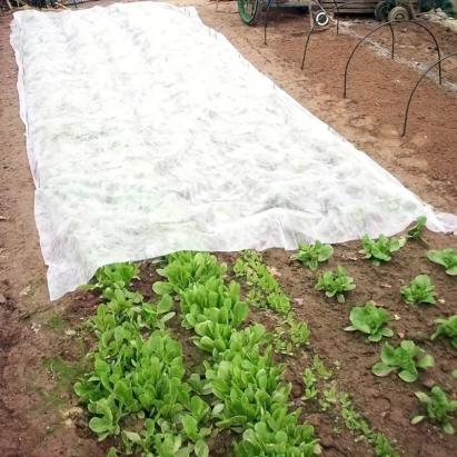 Folie microporoasa tip agril, anti inghet, rola 2.1x20 m, 17 g/mp, reutilizabila, alba MultiMark GlobalProd