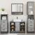 Set de mobilier de baie 4 piese Lemn stratificat gri Sonoma GartenMobel Dekor