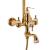 Coloana Dus, Alama Sanitara, Auriu, WZY/310/B ModernLight Concept