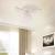 Lustra LED cu telecomanda LAURICE 33W, 3 Petale, lumina Rece/Calda/Neutra, Dimabila, Alb ModernLight Concept