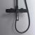 Coloana Dus, Alama Sanitara, Negru, 9710H ModernLight Concept