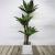 Planta Artificiala Dracaena fragrans, fara Ghiveci, 180cm Verde ModernLight Concept