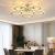 Lustra LED cu telecomanda si cristal ALANUBIS 61W, 5 Cercuri, lumina Rece/Calda/Neutra, Dimabila, Crom Lucios ModernLight Concept