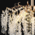 Candelabru Cristal CC9323/5FGD, 5x E14, Diametru 49cm, Auriu ModernLight Concept