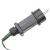 Pom de Crăciun LED 688 LED-uri colorate 300 cm GartenMobel Dekor