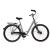 Bicicleta Oras Stella 28080 - 28 inch, M, Gri Ultimate FactoryBikes