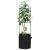 Suport pentru roșii cu sac de plante, 2 buc., 116 cm oțel și PP GartenMobel Dekor