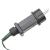 Pom de Crăciun LED 495 LED-uri Alb Rece 300,5 cm GartenMobel Dekor