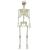 Schelet de Halloween Manual Ajustabil Alb 155 x 38.5 cm Plastic GartenMobel Dekor