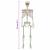 Schelet de Halloween Manual Ajustabil Alb 155 x 38.5 cm Plastic GartenMobel Dekor