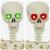 Schelet de Halloween Manual Ajustabil Alb 155 x 38.5 cm Plastic GartenMobel Dekor