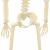 Schelet de Halloween Manual Ajustabil 2 pcs Alb 85 cm PVC GartenMobel Dekor