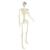 Schelet de Halloween Manual Ajustabil 2 pcs Alb 85 cm PVC GartenMobel Dekor