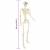 Schelet de Halloween Manual Ajustabil 2 pcs Alb 85 cm PVC GartenMobel Dekor