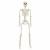Schelet de Halloween Manual Ajustabil 2 pcs Alb 85 cm PVC GartenMobel Dekor