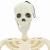 Schelet de Halloween Manual Ajustabil 2 pcs Alb 85 cm PVC GartenMobel Dekor