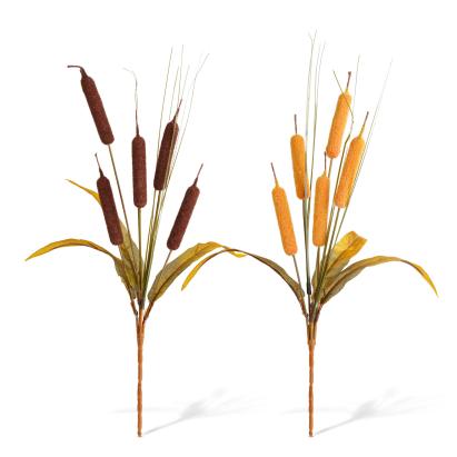 Decorațiune de toamnă – papură decorativă – 40 cm – 2 modele Best CarHome