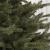 Brad Artificial Royal Natural Green 1745 Ramuri Full 3D PE Verde 200 cm
