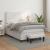 Pat box spring cu saltea, alb, 120x190 cm, piele ecologică GartenMobel Dekor