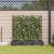 Ghiveci de grădină cu trellis 3 pcs Negru 120 x 40 x 125.5 cm GartenMobel Dekor