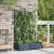 Ghiveci de grădină cu trellis 2 pcs Gri 80 x 40 x 125.5 cm PP GartenMobel Dekor