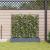 Ghiveci de grădină cu trellis 3 pcs Gri deschis GartenMobel Dekor