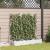 Ghiveci de grădină cu trellis 3 pcs Alb 120 x 40 x 125.5 cm PP GartenMobel Dekor