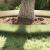Borduri pentru gazon 5 pcs Argintiu 100 x 25 x 0.07 cm GartenMobel Dekor
