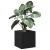 Cutie pentru Vaze Stejar negru 40 x 40 x 40 cm Lemn compozit GartenMobel Dekor
