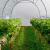 Sera solar tip tunel pentru gradina, 6x3x2 m, folie pe 140g/mp, filtru uv4, ferestre MultiMark GlobalProd