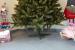 Brad artificial Christmas Deluxe by Sersimo, Royal, 240cm Household NewTrend