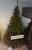 Brad artificial Christmas Deluxe by Sersimo, Royal, 240cm Household NewTrend