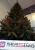 Brad artificial Christmas Deluxe by Sersimo, Royal, 220cm Household NewTrend