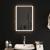 Oglinda de baie cu LED, 40x60 cm GartenMobel Dekor