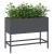 Ghiveci ridicat pentru grădină Antracit 60 x 26 x 45 cm Oțel GartenMobel Dekor