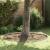 Împrejmuire pentru gazon Argintiu 450 x 10 cm Oțel galvanizat GartenMobel Dekor