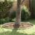 Împrejmuire pentru gazon Argintiu 450 x 15 cm Oțel inoxidabil GartenMobel Dekor