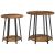 Set măsuțe laterale 2 pcs Lemn vechi și Negru 50 x 50 x 51 cm GartenMobel Dekor