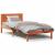 Cadru de pat Maro 75 x 190 cm Lemn masiv de pin GartenMobel Dekor