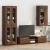 Cabinet suspendat Stejar brun 55 x 29 x 100 cm Lemn compozit GartenMobel Dekor