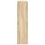 Pantofar, stejar sonoma, 80x25x100 cm, lemn prelucrat GartenMobel Dekor