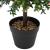 Copac Artificial Verde 35 x 35 x 50 cm Plastic GartenMobel Dekor