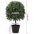 Copac Artificial Verde 35 x 35 x 50 cm Plastic GartenMobel Dekor