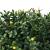 Copac Artificial Verde 35 x 35 x 50 cm Plastic GartenMobel Dekor