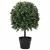 Copac Artificial Verde 35 x 35 x 50 cm Plastic GartenMobel Dekor