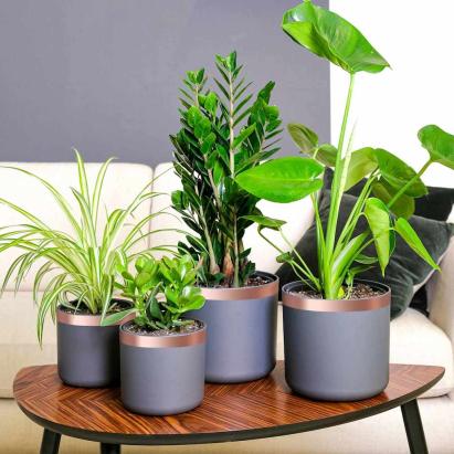 Bandă din cupru dublă față Cupru 2000 x 3 cm Cupru GartenMobel Dekor