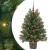 Brad de Crăciun artificial cu 150 LED Verde 90 cm PE și PVC GartenMobel Dekor