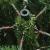Brad de Crăciun artificial cu ramuri articulare Verde 180 cm GartenMobel Dekor
