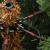 Brad de Crăciun artificial cu ramuri articulare Verde 240 cm GartenMobel Dekor